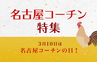 名古屋コーチン特集 3月10日は名古屋コーチンの日!