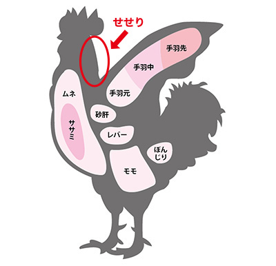 部位 せせり 焼き鳥の部位いろいろ！ 定番から希少部位までご紹介！