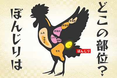 ぼんじりはどこの部位 ぼんじりの特徴について解説 鶏びあ 名古屋コーチン さんわの手羽先お取り寄せ 鶏三和の公式通販